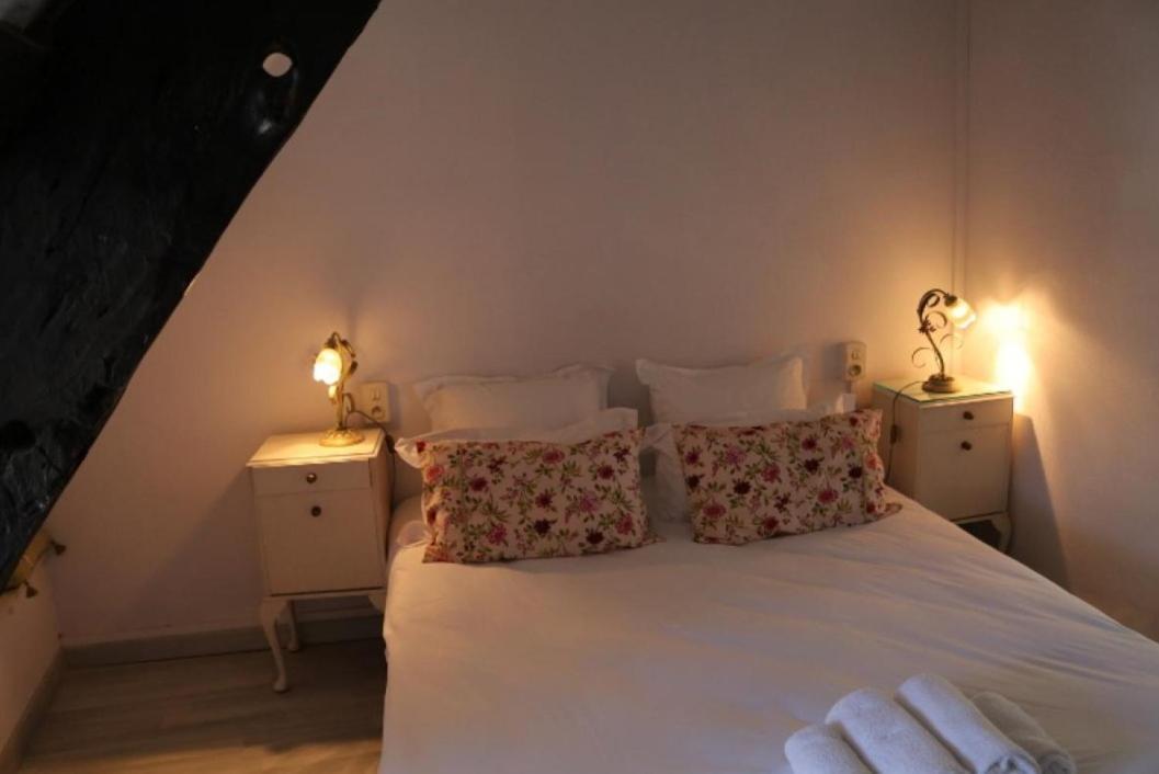 Le Poisson Ivre Bed & Breakfast Dinan Bagian luar foto